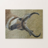 A5 Pronghorn Antelope Head Shoot Puzzle (Horizontal)