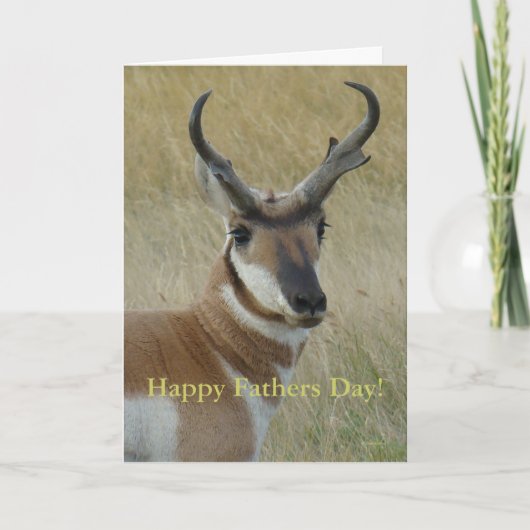 A5 Pronghorn Antelope Head Shot Karte (Vorderseite)
