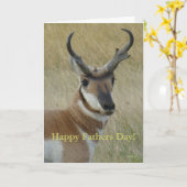 A5 Pronghorn Antelope Head Shot Karte (Gelbe Blume)