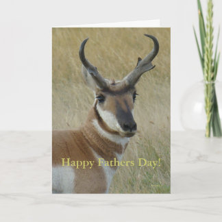 A5 Pronghorn Antelope Head Shot Karte