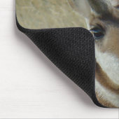 A5 Pronghorn Antelope Mousepad (Ecke)