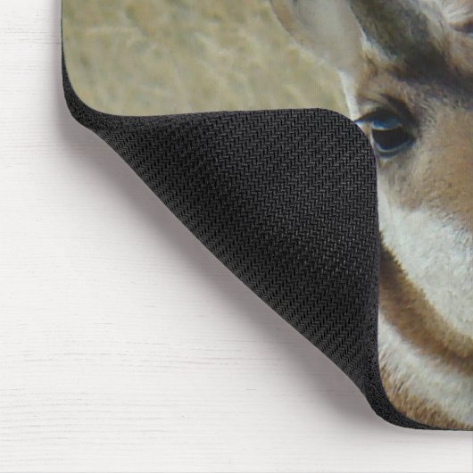 A5 Pronghorn Antelope Mousepad (Ecke)