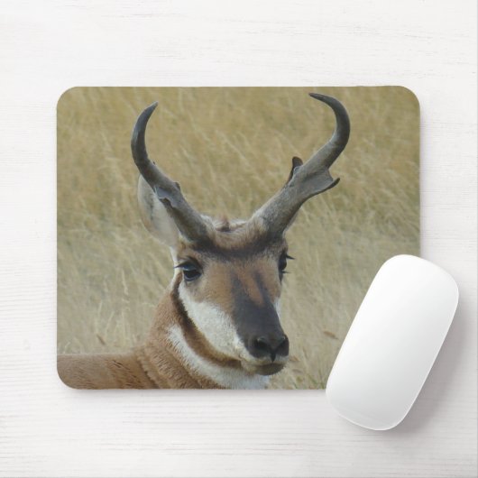 A5 Pronghorn Antelope Mousepad (Mit Mouse)