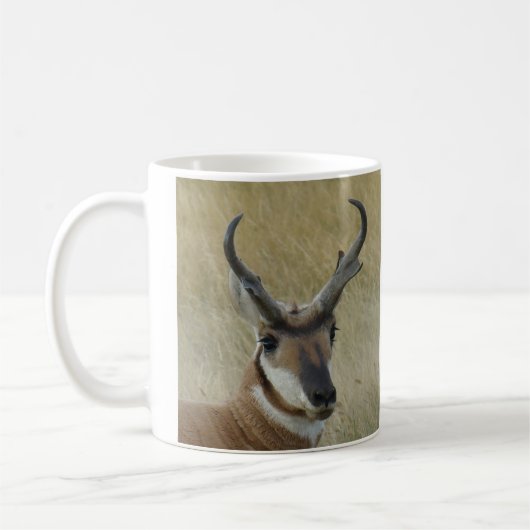 A5 Pronghorn Antilopen-viel Geld-Kopf-Schuss Kaffeetasse (Links)