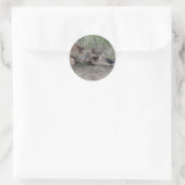 A6 Baby Pronghorn Antelope Runder Aufkleber (Tasche)