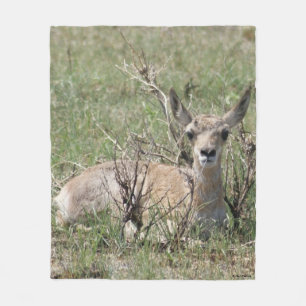 A7 Baby Gabelantilope Fleecedecke