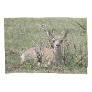 A7 Baby Gabelantilope Kissenbezug
