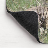 A7 Baby Gabelantilope Mousepad (Ecke)