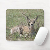 A7 Baby Gabelantilope Mousepad (Mit Mouse)