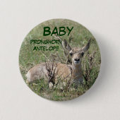 A7 Baby Pronghorn Antelope Button (Vorderseite)