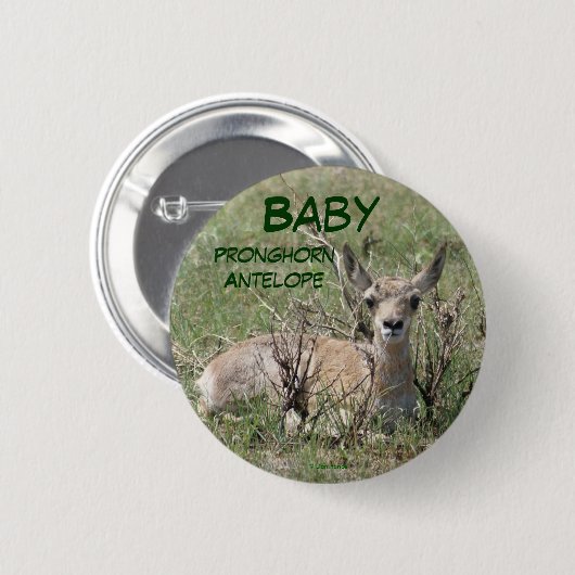 A7 Baby Pronghorn Antelope Button (Vorne & Hinten)