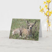 A7 Baby Pronghorn Antelope Karte (Gelbe Blume)