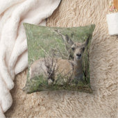 A7 Baby Pronghorn Antelope Kissen (Decke)