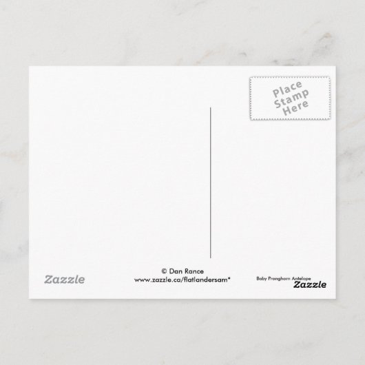 A7 Baby Pronghorn Antelope Kopf Up Postkarte (Rückseite)