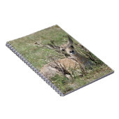 A7 Baby Pronghorn Antelope Notizblock (Rechte Seite)