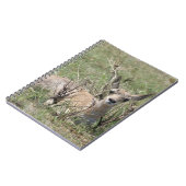 A7 Baby Pronghorn Antelope Notizblock (Linke Seite)