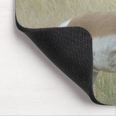 A8 Gabelbock Großer Bock Mousepad (Ecke)