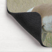 A8 Gabelbock Großer Bock Mousepad (Ecke)