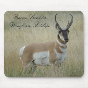 A8 Gabelbock Großer Bock Mousepad