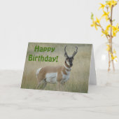 A8 Pronghorn Antelope Big Buck Karte (Gelbe Blume)