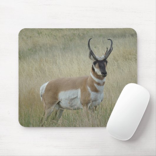 A8 Pronghorn Antelope Big Buck Mousepad (Mit Mouse)