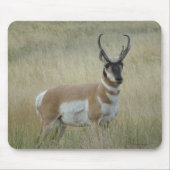 A8 Pronghorn Antelope Big Buck Mousepad (Vorne)