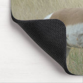 A8 Pronghorn Antelope Big Buck Mousepad (Ecke)