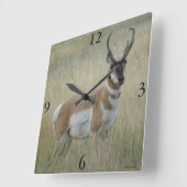 A8 Pronghorn Antelope Big Buck Quadratische Wanduhr (Winkel)