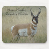 A8 Pronghorn Antilopen-viel Geld Mousepad (Vorne)