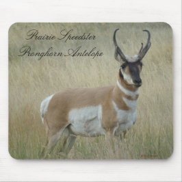 A8 Pronghorn Antilopen-viel Geld Mousepad