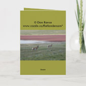 A9 Gabelbock Großer Bock Karte (Rückseite)