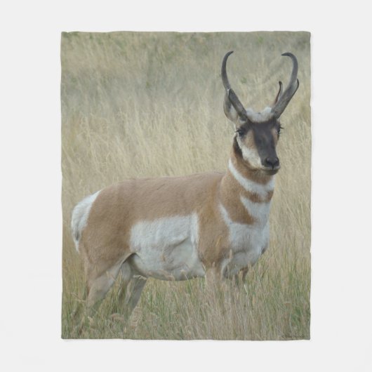 A9 Pronghorn Antelope Big Buck Fleecedecke (Vorderseite)