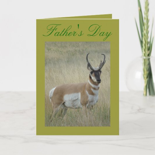 A9 Pronghorn Antelope Big Buck Karte (Vorderseite)