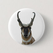 A9 Pronghorn Antilopen-Kopf Button (Vorderseite)