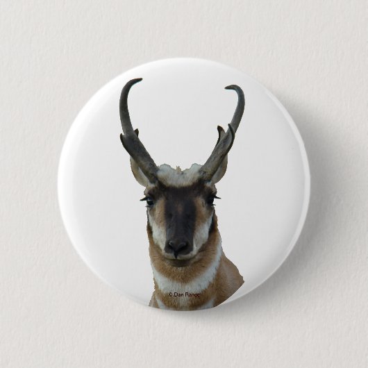 A9 Pronghorn Antilopen-Kopf Button (Vorderseite)