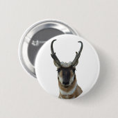 A9 Pronghorn Antilopen-Kopf Button (Vorne & Hinten)