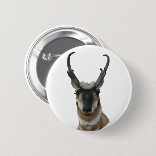 A9 Pronghorn Antilopen-Kopf Button (Vorne & Hinten)