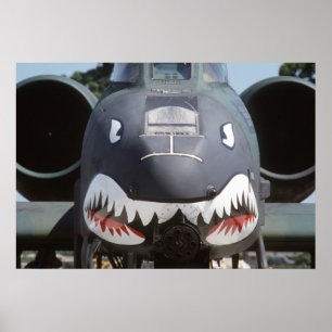 A-10-Donnerbolzen II Poster