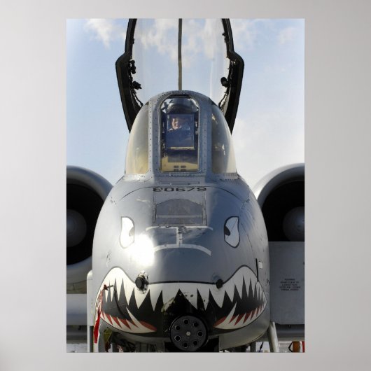 A-10-Donnerbolzen II Poster (Vorne)