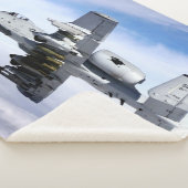 A-10 WARTHOG SHERPADECKE (3/4)