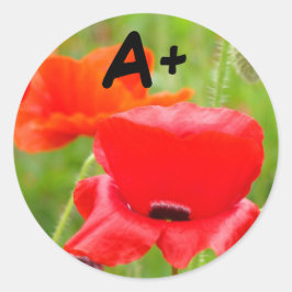 A+ Aufkleber Rote Mohn Blume Aufkleber Schulkinder