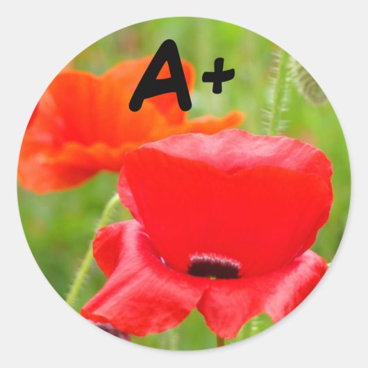 A+ Aufkleber Rote Mohn Blume Aufkleber Schulkinder (Vorderseite)