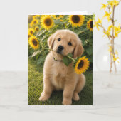 A&B Benny Sonnenblume Karte (Gelbe Blume)