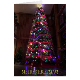 A Beautiful Christmas Tree with Reflektionen