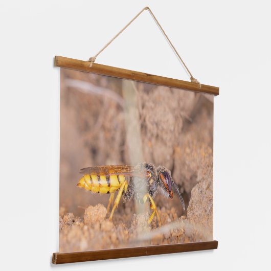 A beautiful close-up photograph of a wasp wandteppich mit holzrahmen (Gewinkelt)