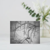 A beautiful Dove Black and White Postkarte (Stehend Vorderseite)