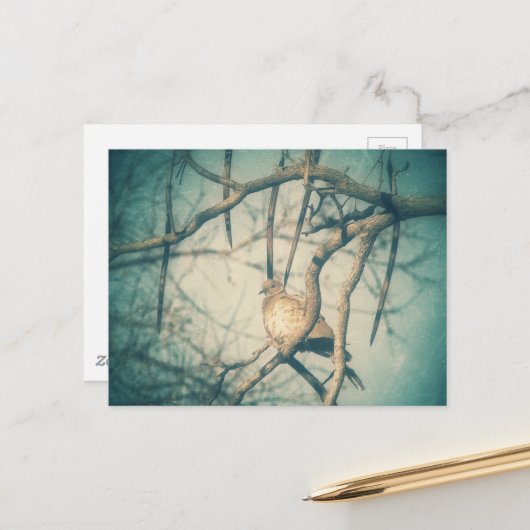 A beautiful Dove Postkarte (Vorderseite/Rückseite Beispiel)