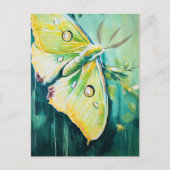 A Beautiful Green Moth Postkarte (Vorderseite)