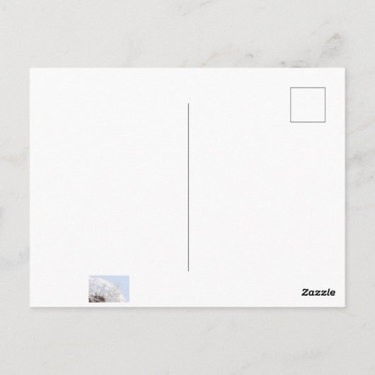 a beautiful life ... sprü che Löwenzahn Samen Postkarte (Rückseite)