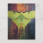 A Beautiful Luna Moth Postkarte (Vorderseite)
